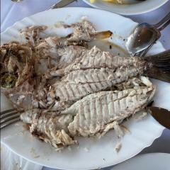 images/piata/psiart-piata (11).jpg